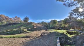 Belmont apartment for rent - a dirt road leading up a hill with trees and a bridge