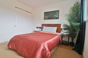 Belmont apartment for rent - a bedroom with a bed and a potted plant