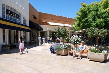 Shopping