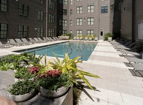 New Orleans apartment for rent - the pool is surrounded by potted plants in front of a building