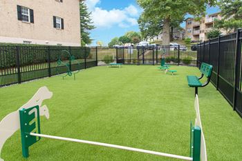 Dog park