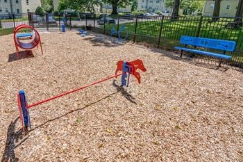 Bark park view