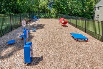 Dog park area