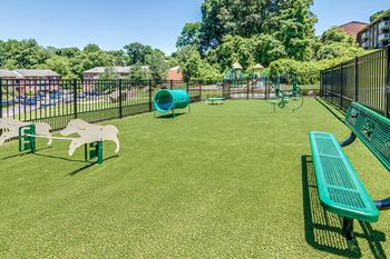 Dog park area