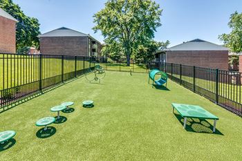 Bark park