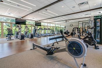 Modern fitness center