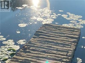 Northern Bruce Peninsula mobile home for rent - A wooden dock with lily pads floating on the water.
