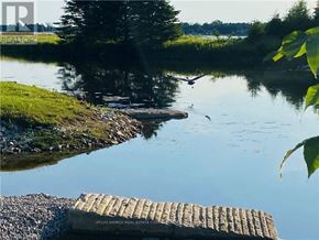 Northern Bruce Peninsula mobile home for rent - A calm river with a wooden dock and a bird flying.