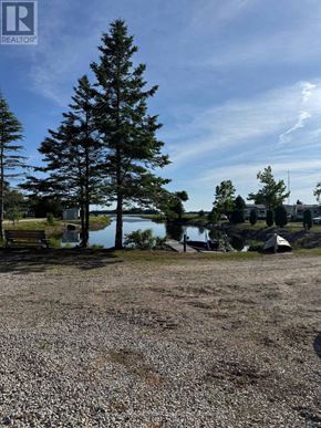 Northern Bruce Peninsula mobile home for rent - A gravel area with a tree and a body of water in the background.