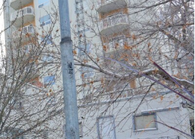 Edmonton apartment for rent - A tall building with a tree in front of it.