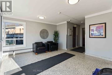 Kitchener condo for rent - A living room with a black sofa and a green plant.