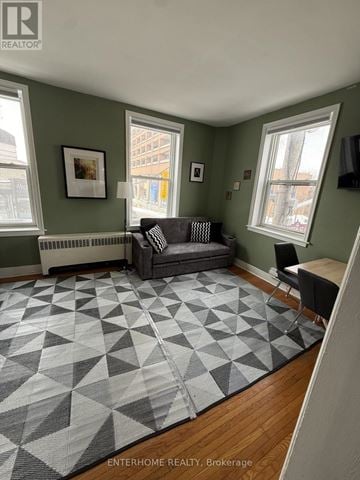 Brampton (Downtown Brampton) condo for rent - A living room with a grey sofa and a rug with a geometric pattern.