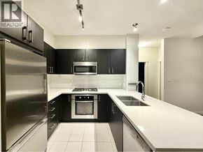 Vancouver apartment for rent - A modern kitchen with black cabinets and stainless steel appliances.