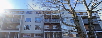 Halifax apartment for rent - A tall apartment building with a tree in the foreground.