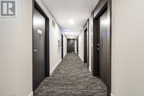 Hamilton (Central) condo for rent - A hallway with a carpeted floor and doors on both sides.