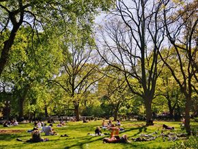 New York apartment for rent - people laying in the grass in a park