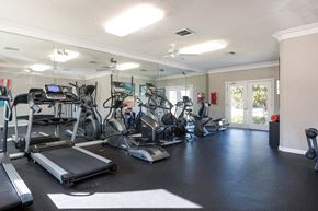 Tampa apartment for rent - the gym is fully equipped with cardio machines and weights