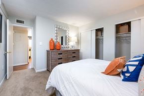 Tampa apartment for rent - a bedroom with a large bed and a closet