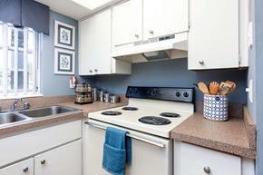 Tampa apartment for rent - a kitchen with white cabinets and a stove and sink