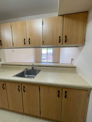 Dartmouth apartment for rent - A kitchen with a sink and wooden cabinets.