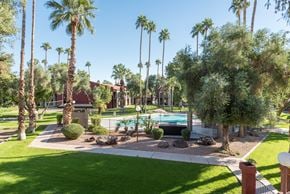 Tempe apartment for rent - a pool is surrounded by palm trees