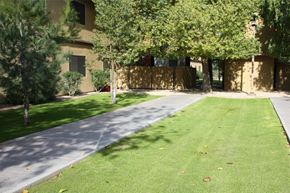 Phoenix apartment for rent - a yard with a sidewalk and trees in front of a building