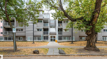 Edmonton apartment for rent - A tree in front of apartment buildings.