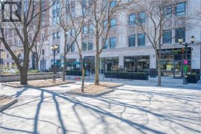 Hamilton condo for rent - A street view with trees and buildings.