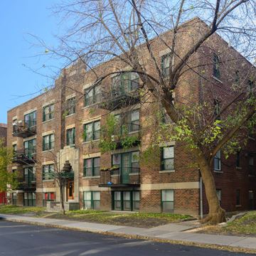 Ottawa apartment for rent - A tree in front of a brick building with green plants growing on the building.