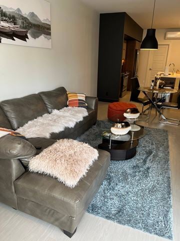 Dieppe apartment for rent - A living room with a grey couch and a blue rug.