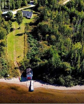 For rent in Bonne Bay - A house is surrounded by trees and grass.