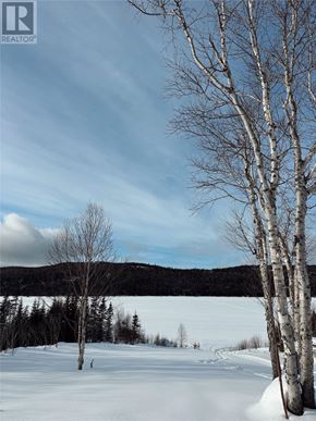 For rent in Bonne Bay - A snowy landscape with a few trees and a mountain in the distance.