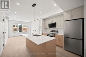 Ottawa multi-family for rent - A modern kitchen with a large island and stainless steel appliances.