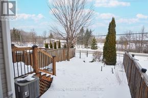 Ottawa townhouse for rent - A snow-covered backyard with a wooden fence and a small tree.