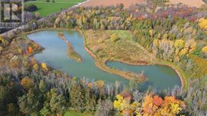 Whitchurch-Stouffville apartment for rent - A serene landscape with a lake surrounded by autumn trees.