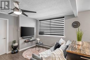 Niagara Falls (Downtown) multi-family for rent - A living room with a grey couch, a black table, a television, and a ceiling fan.
