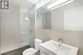 Ottawa townhouse for rent - A bathroom with a sink, toilet, and shower.