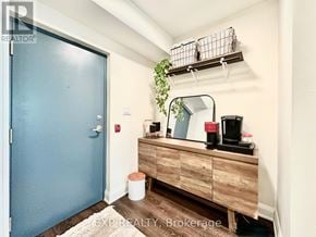 Ottawa apartment for rent - A blue door is on the left of a wooden cabinet with a mirror and a plant on top.