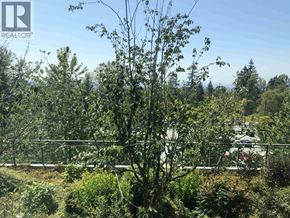 Burnaby apartment for rent - A tree in the foreground with a house and fence in the background.