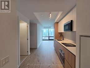 Toronto (Waterfront Communities) condo for rent - A modern kitchen with wooden floors and a large window.
