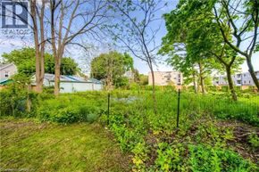 Cambridge apartment for rent - A lush green garden with trees and bushes in the foreground and a residential area in the background.
