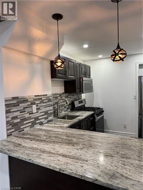 Hamilton apartment for rent - A kitchen with a granite countertop and a modern design.