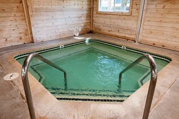 Indoor pool and spa