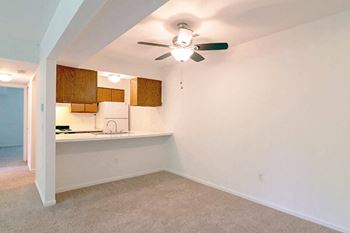 Ceiling fan 