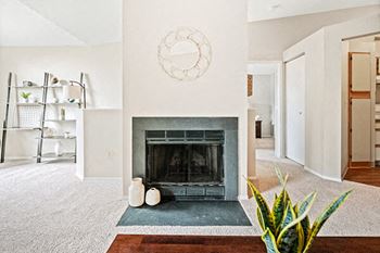 Fireplace & den
