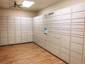 Amazon package hub