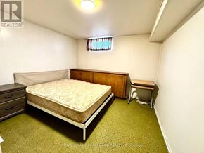 Hamilton (Westcliffe) apartment for rent - A living room with a rug, a brown couch, a chair, and a table.