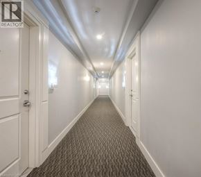 Guelph condo for rent - A long hallway with a carpeted floor and white walls.