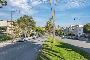 San Francisco apartment for rent - A tree in the middle of a street with cars parked on the side.