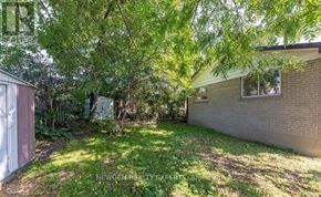 Toronto (West Hill) apartment for rent - A backyard with a shed and a house.